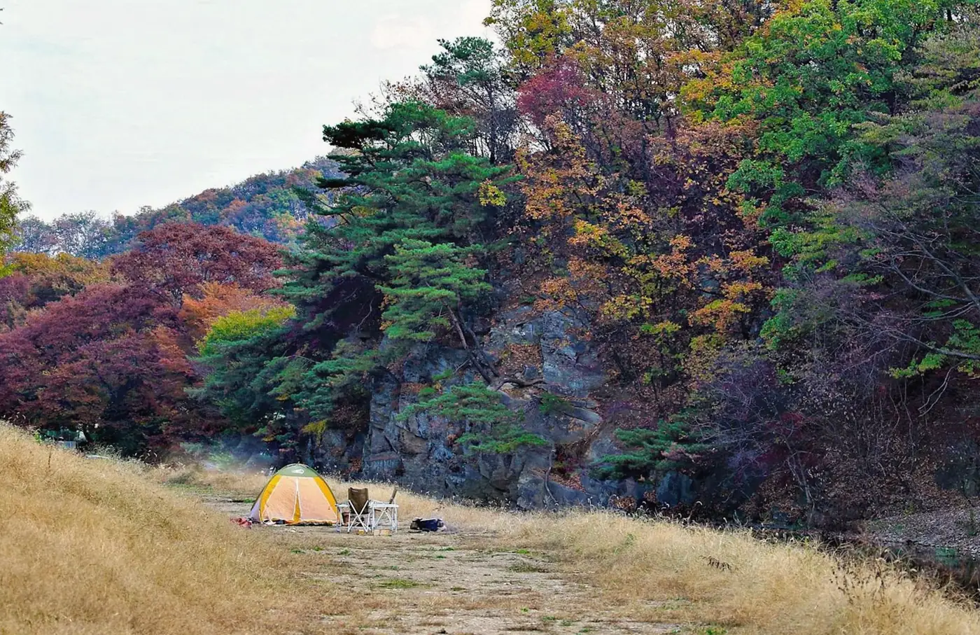 紅葉した渓谷の草地に立つ小さな黄色いテント